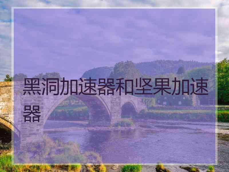 黑洞加速器和坚果加速器