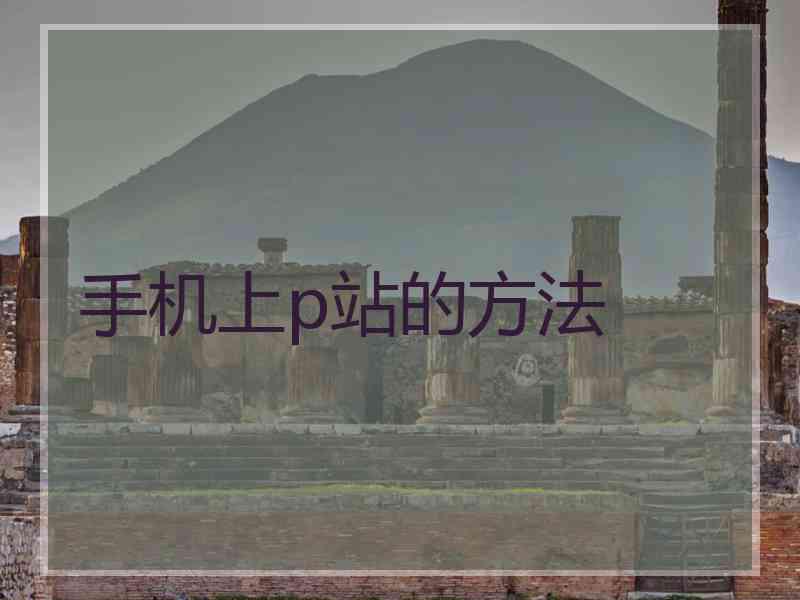 手机上p站的方法