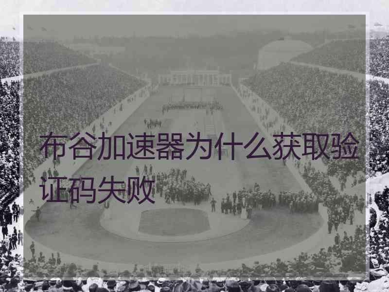 布谷加速器为什么获取验证码失败
