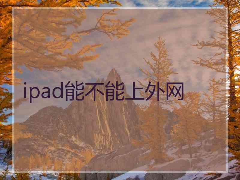 ipad能不能上外网