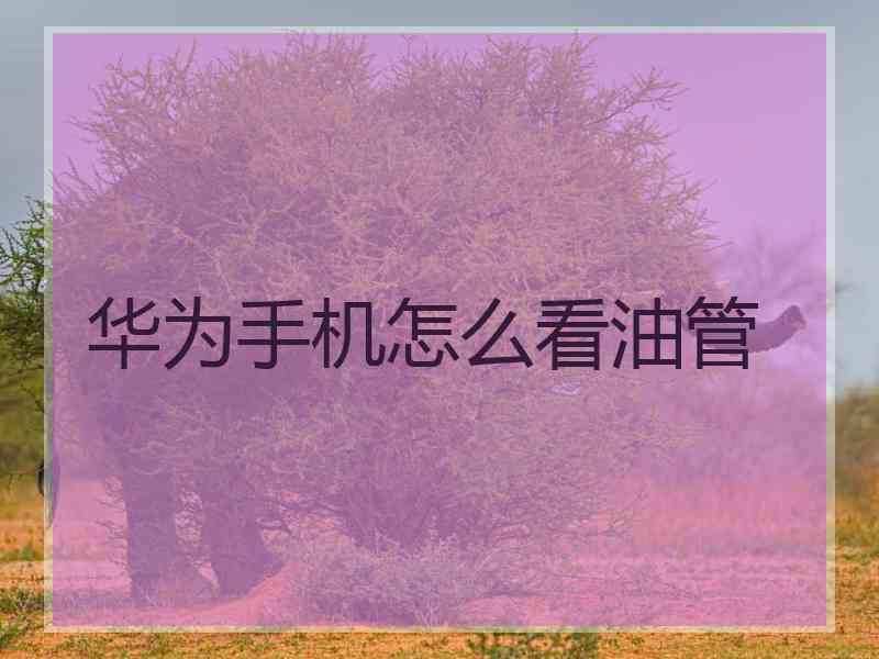 华为手机怎么看油管