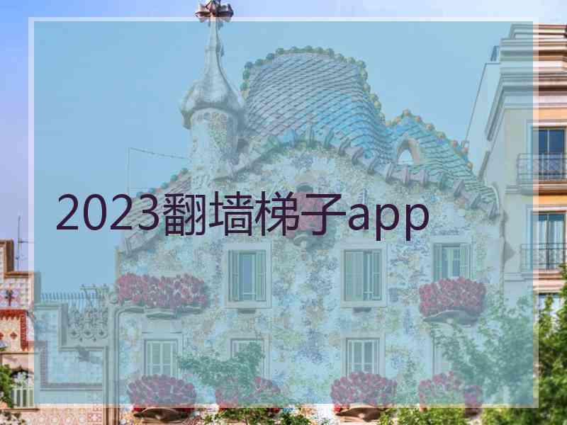 2023翻墙梯子app