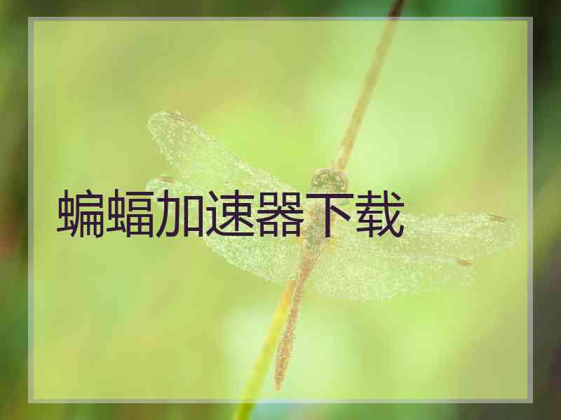 蝙蝠加速器下载