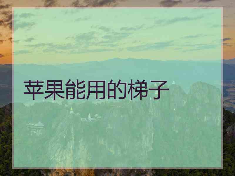 苹果能用的梯子