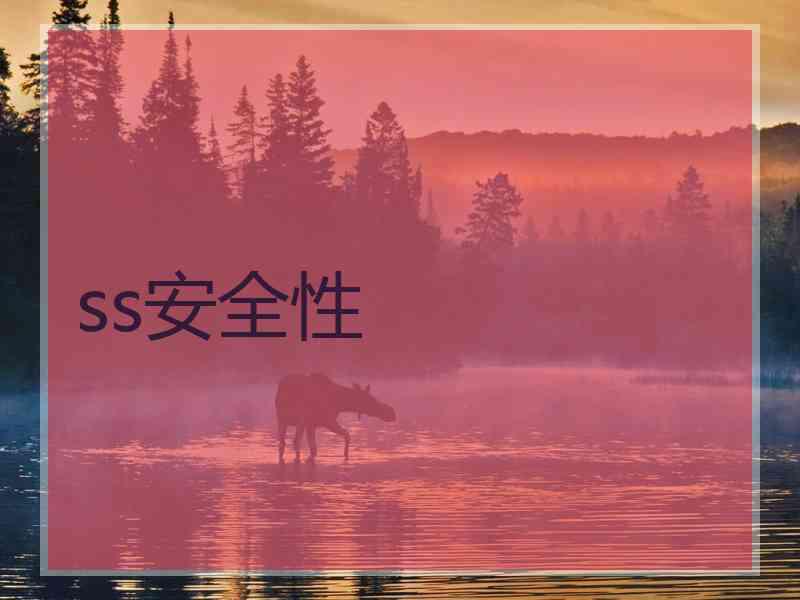 ss安全性