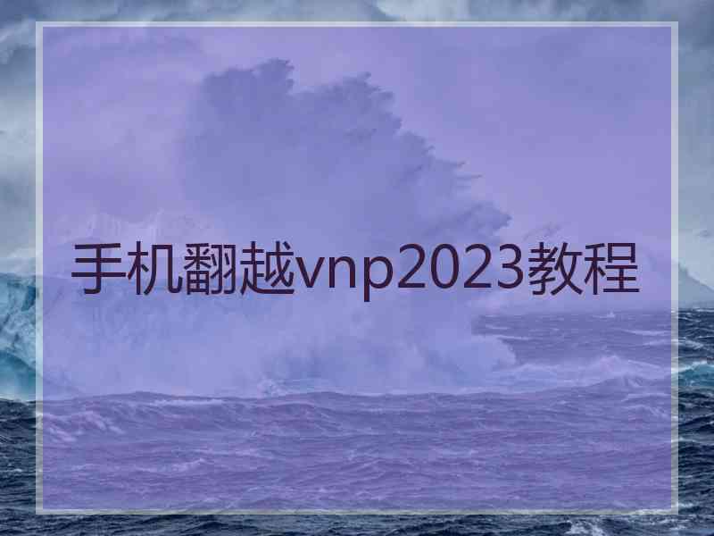 手机翻越vnp2023教程