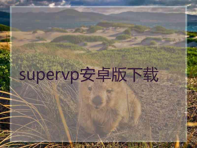 supervp安卓版下载