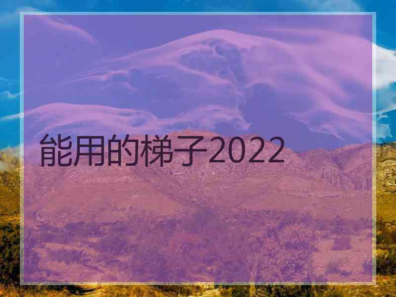 能用的梯子2022