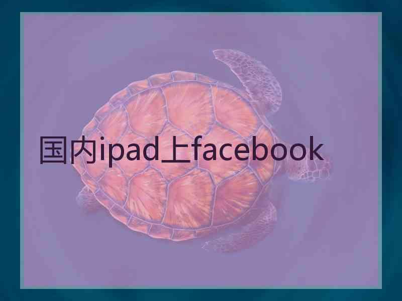 国内ipad上facebook