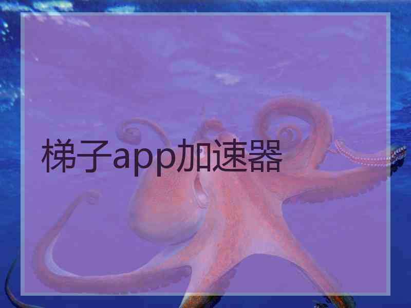 梯子app加速器