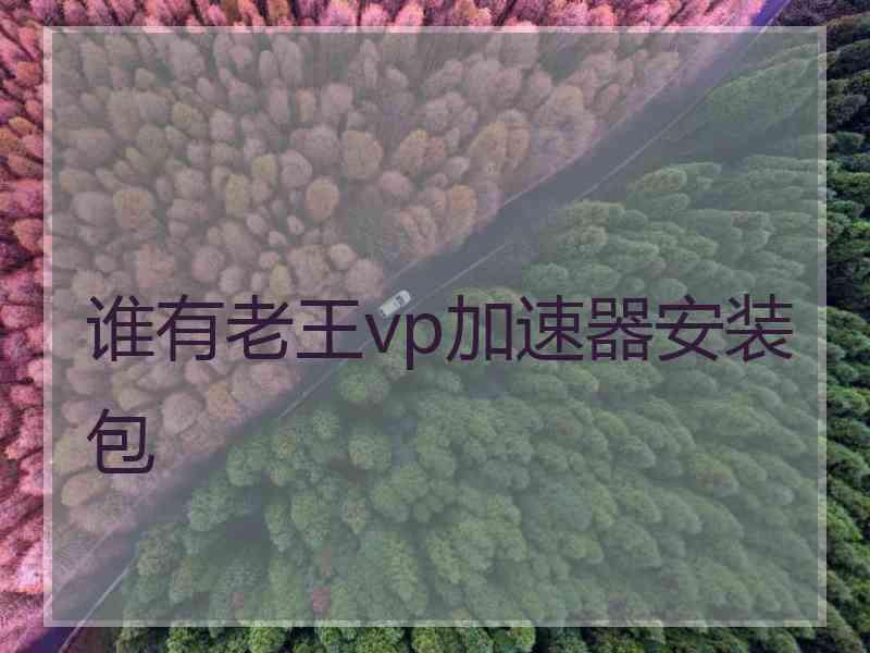 谁有老王vp加速器安装包