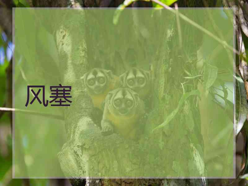 风塞
