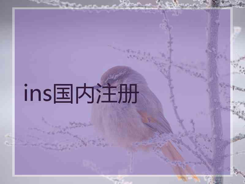ins国内注册