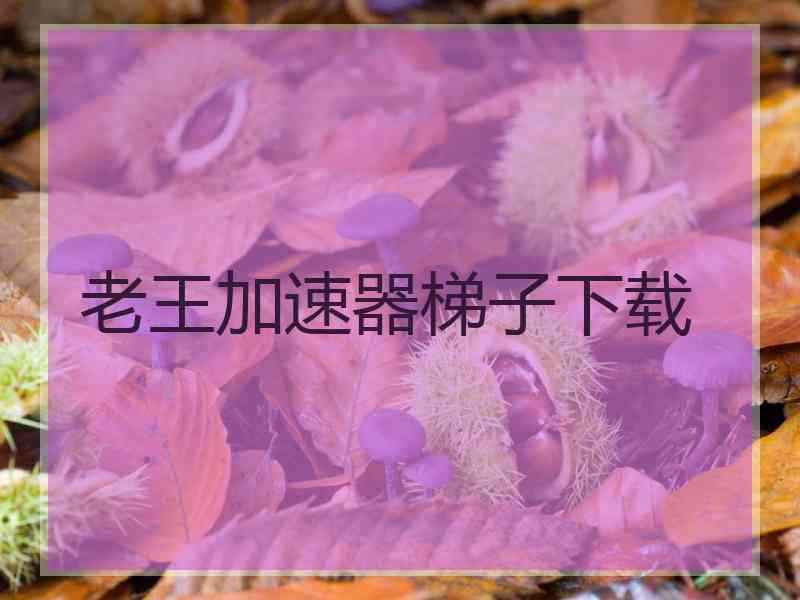 老王加速器梯子下载