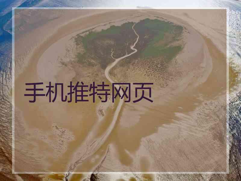 手机推特网页