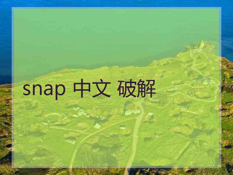 snap 中文 破解