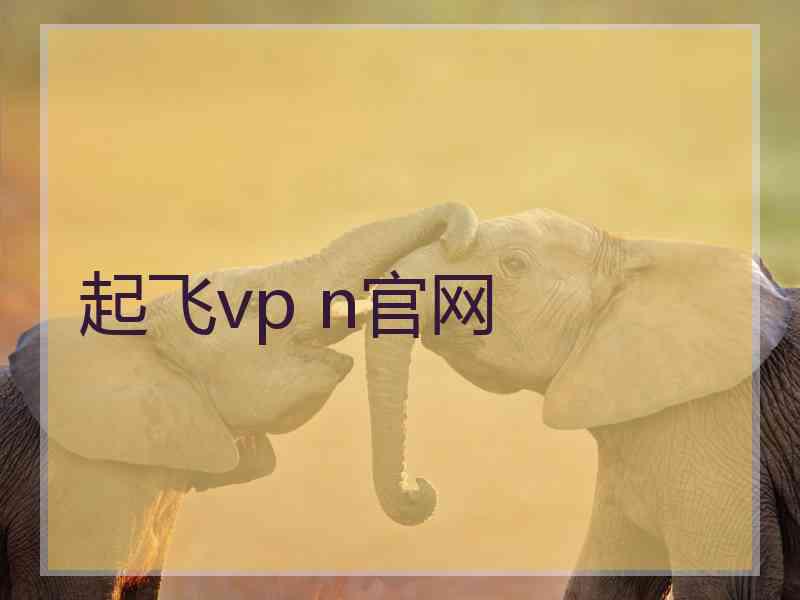 起飞vp n官网
