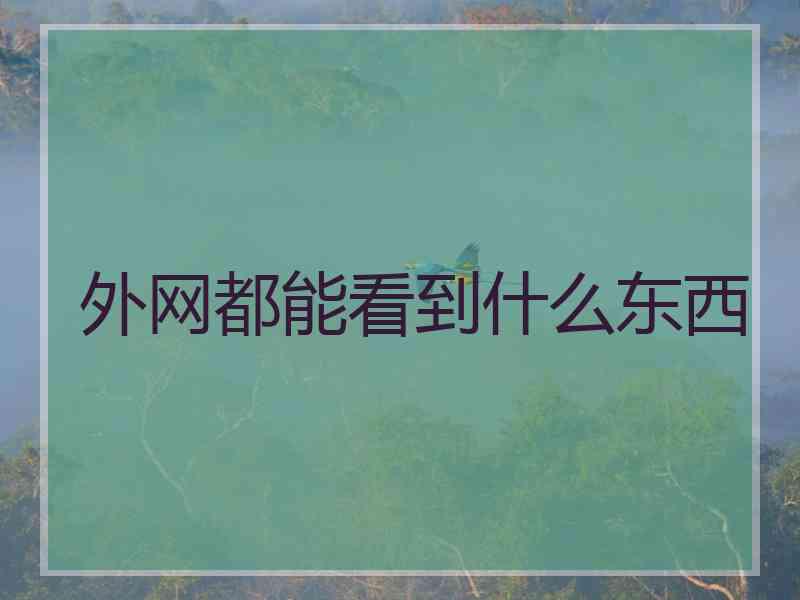 外网都能看到什么东西