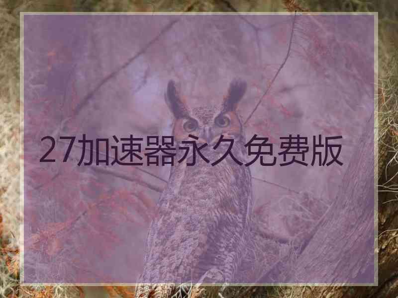 27加速器永久免费版