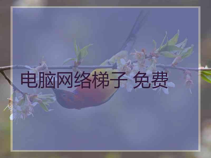 电脑网络梯子 免费