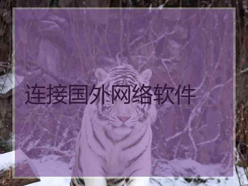 连接国外网络软件