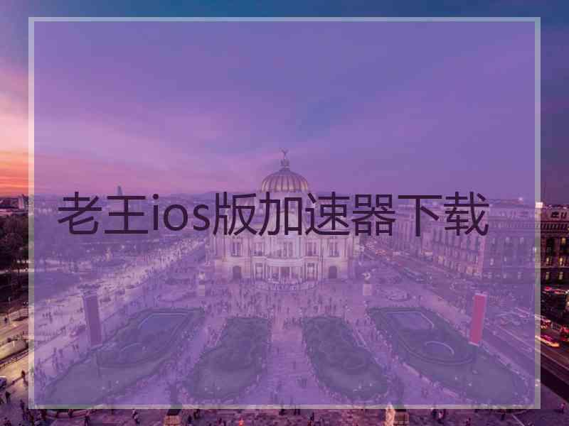 老王ios版加速器下载