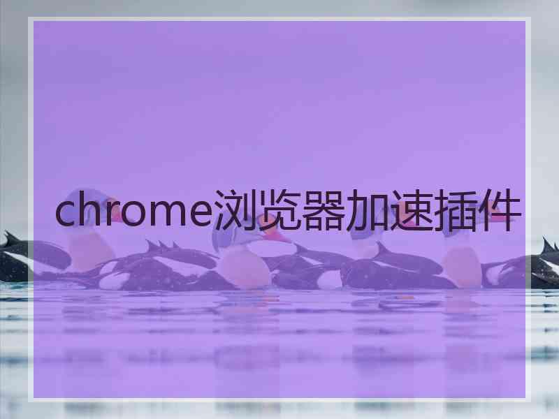 chrome浏览器加速插件