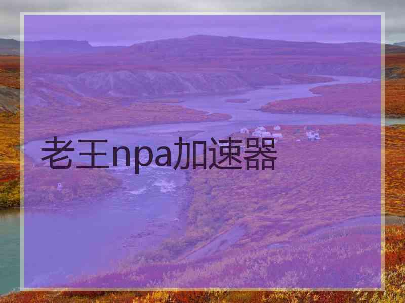 老王npa加速器