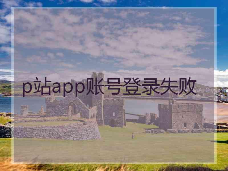 p站app账号登录失败