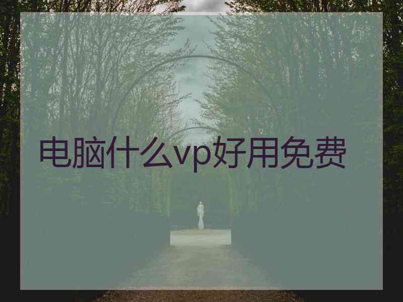 电脑什么vp好用免费