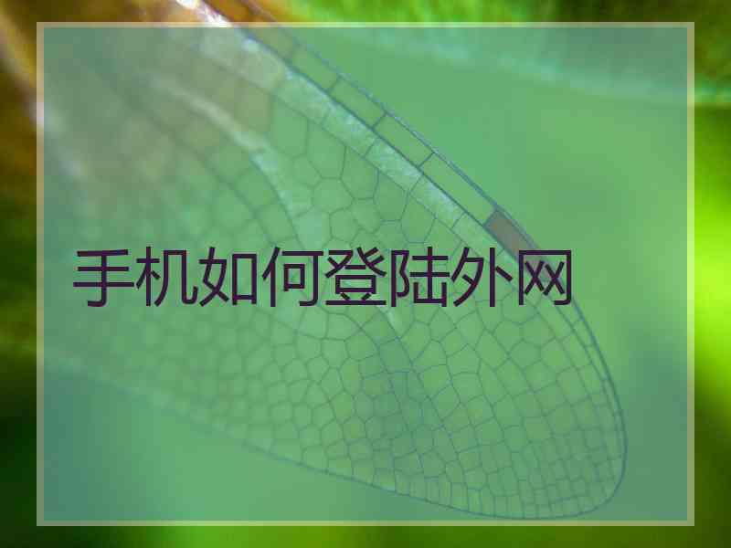 手机如何登陆外网