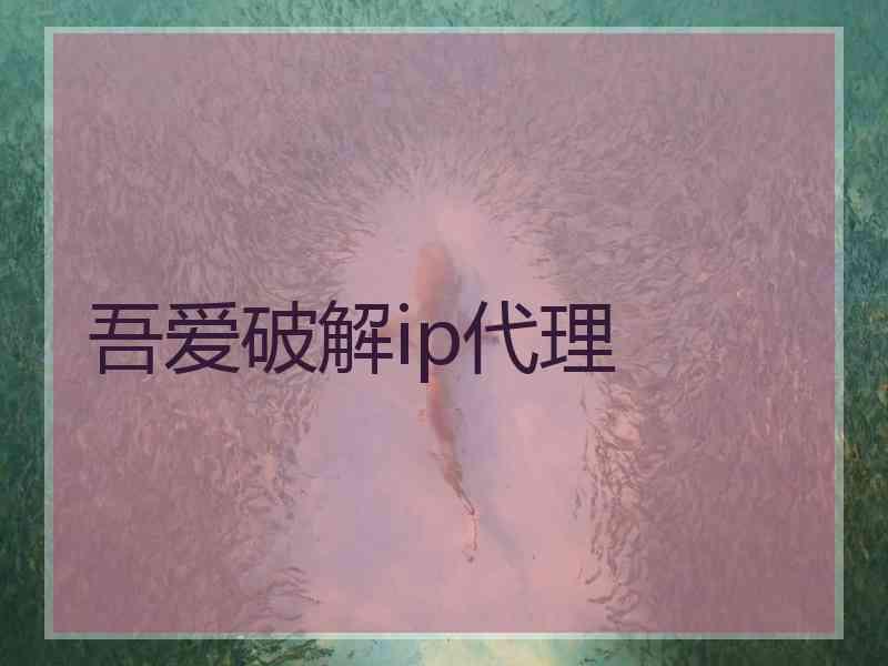 吾爱破解ip代理