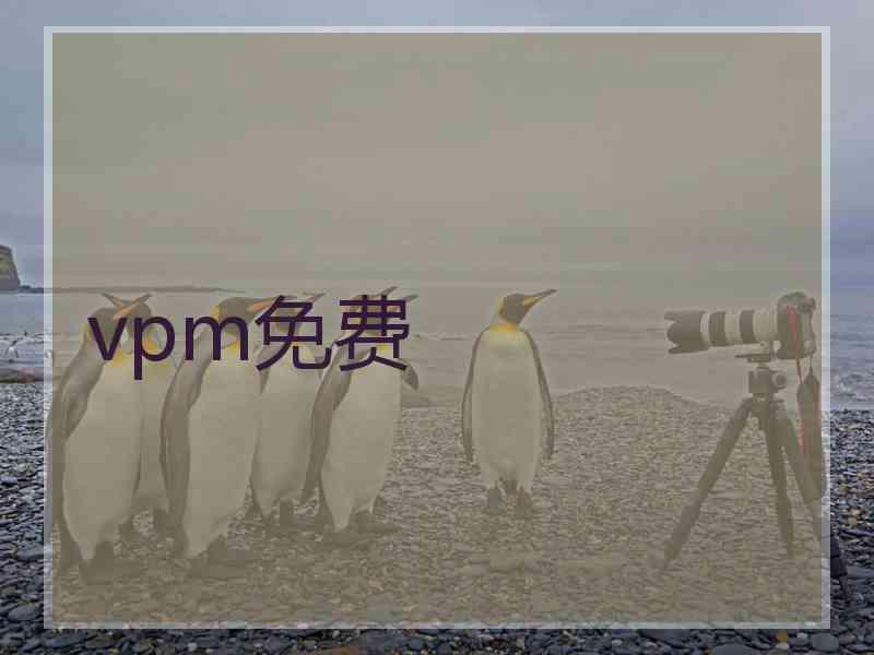 vpm免费