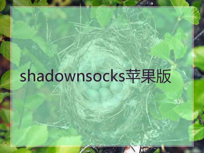 shadownsocks苹果版
