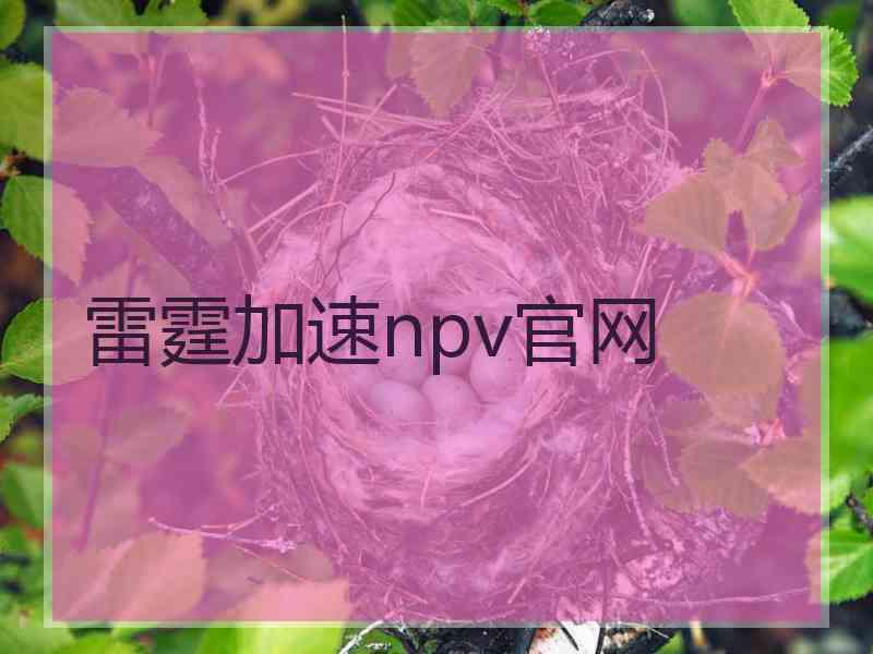 雷霆加速npv官网