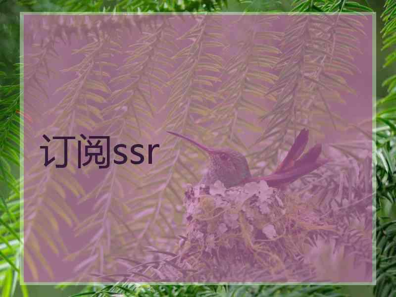 订阅ssr