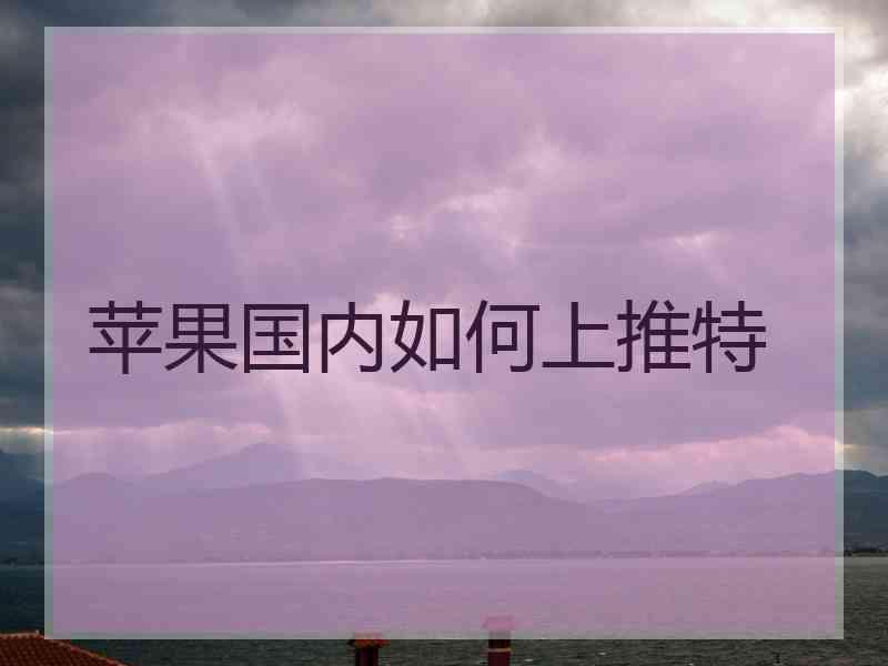 苹果国内如何上推特