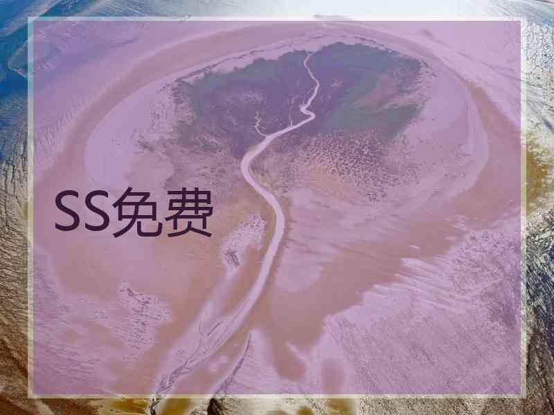 SS免费