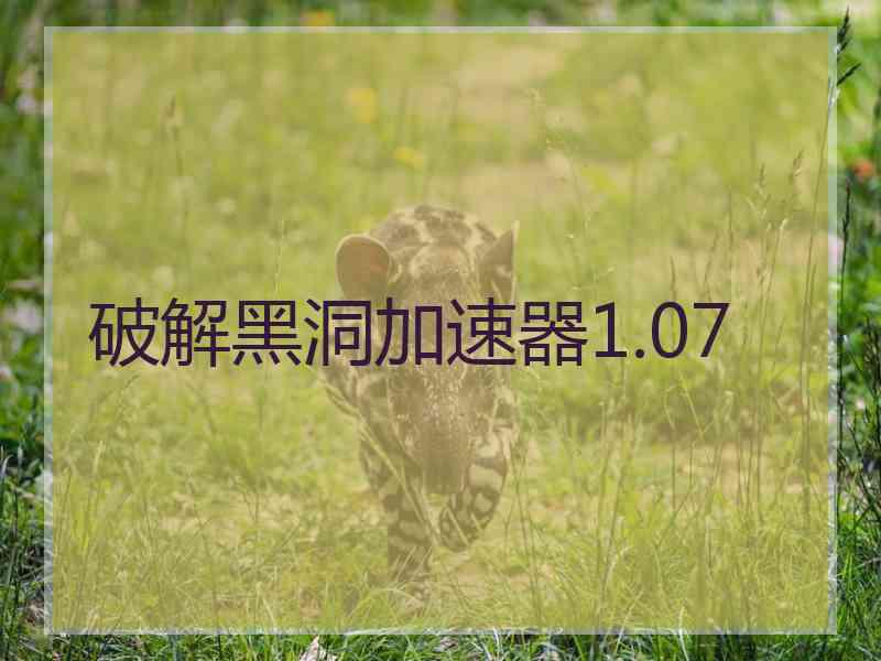 破解黑洞加速器1.07