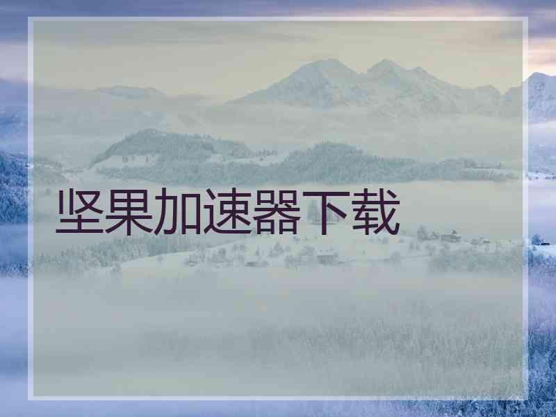 坚果加速器下载