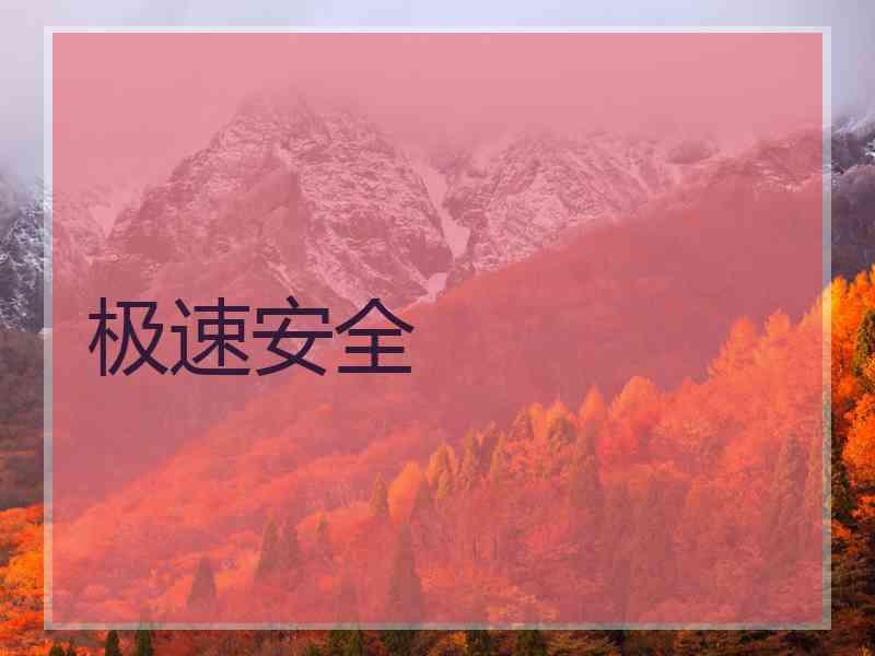 极速安全