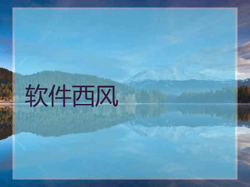 软件西风