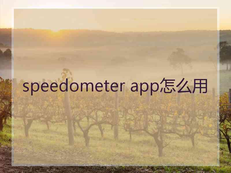 speedometer app怎么用