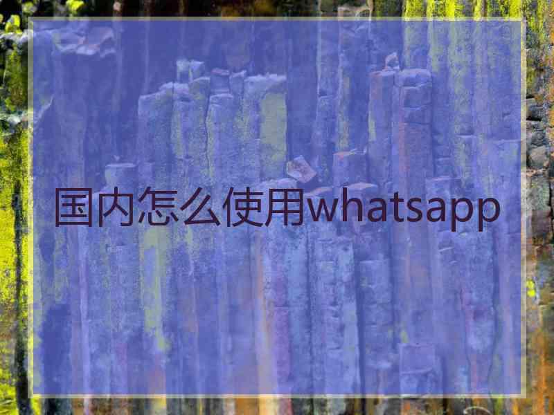 国内怎么使用whatsapp