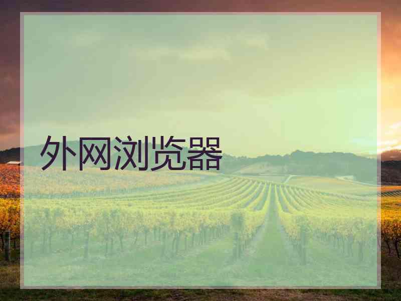 外网浏览器