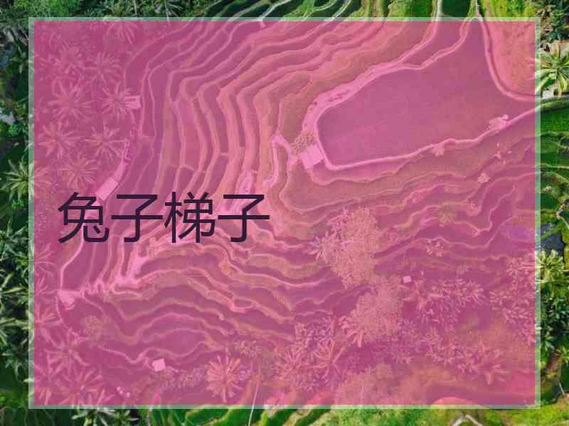 兔子梯子