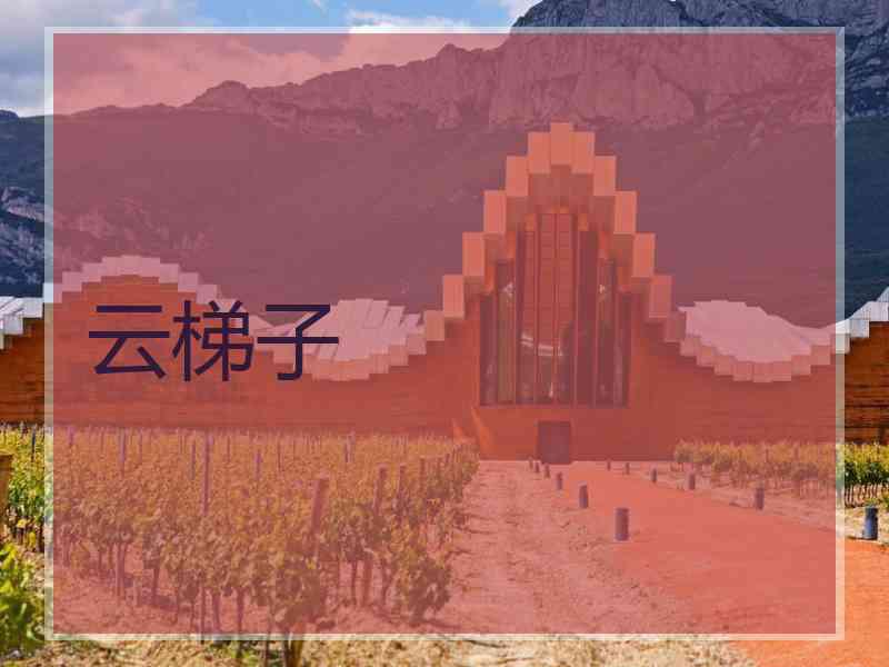 云梯子
