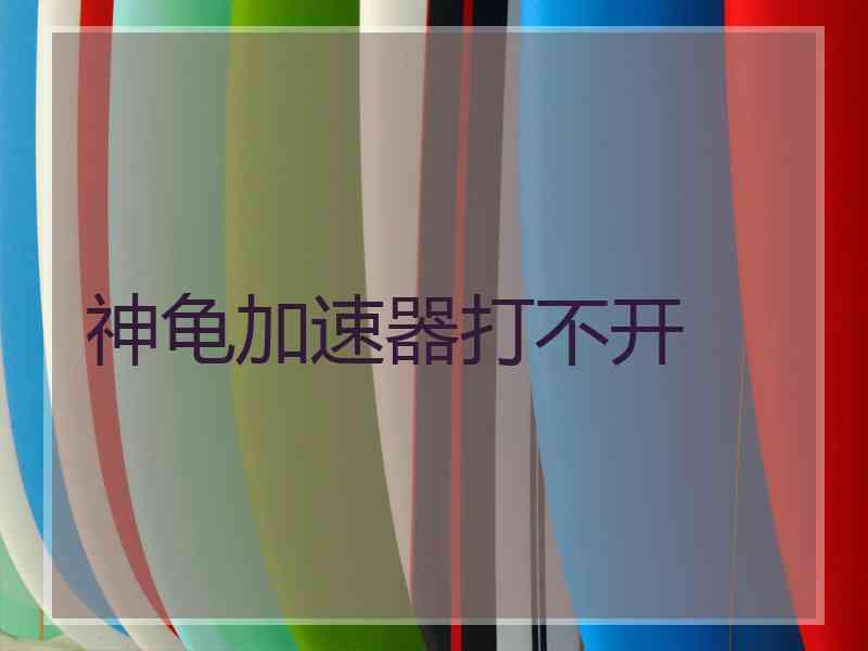 神龟加速器打不开