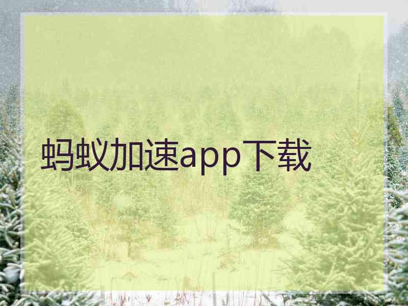 蚂蚁加速app下载