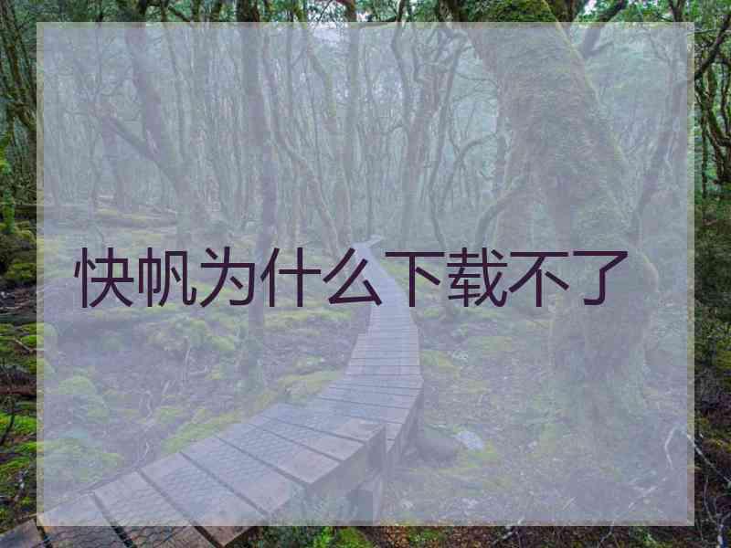 快帆为什么下载不了